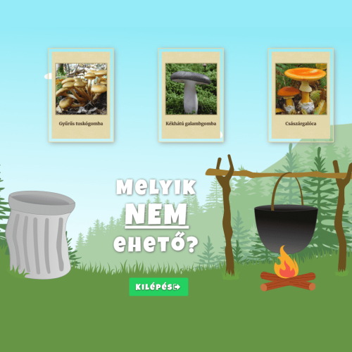 Gomba-felismerő-játék Gomba-felismerő-játék
